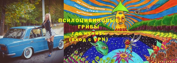 спайс Алексеевка