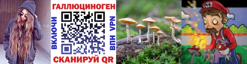 MEGA ССЫЛКА  Фролово  Псилоцибиновые грибы MAGIC MUSHROOMS 