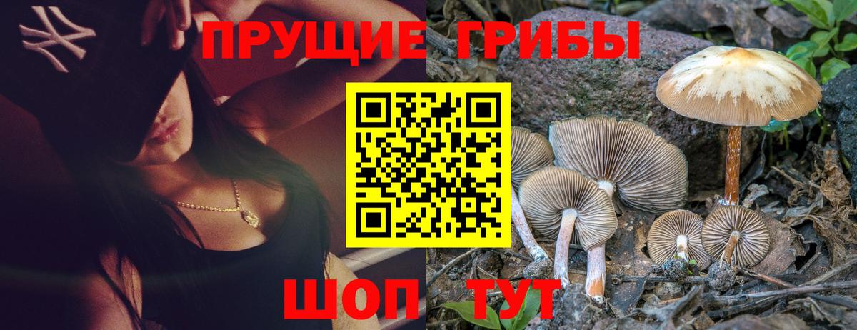 Псилоцибиновые грибы GOLDEN TEACHER  Псилоцибиновые грибы Magic Shrooms  Фролово  Вход с VPN 