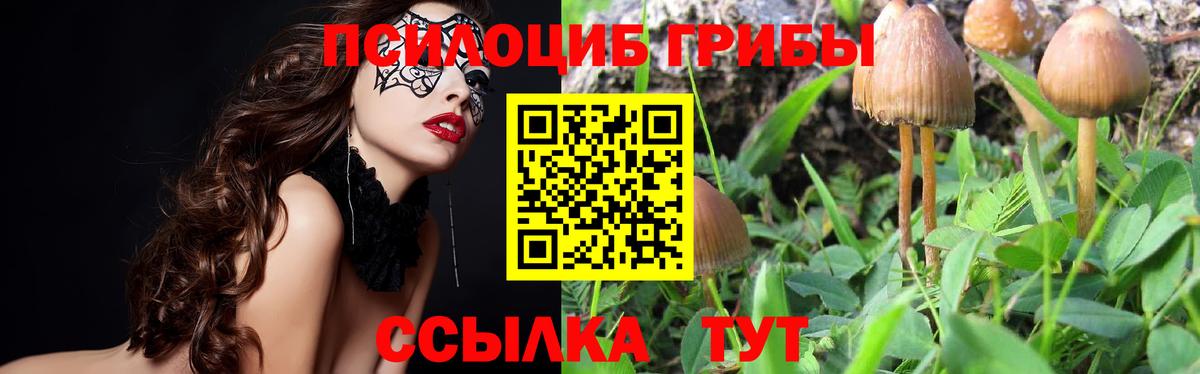 Фролово  Галлюциногенные грибы Magic Shrooms  Вход с VPN  Галлюциногенные грибы прущие грибы 